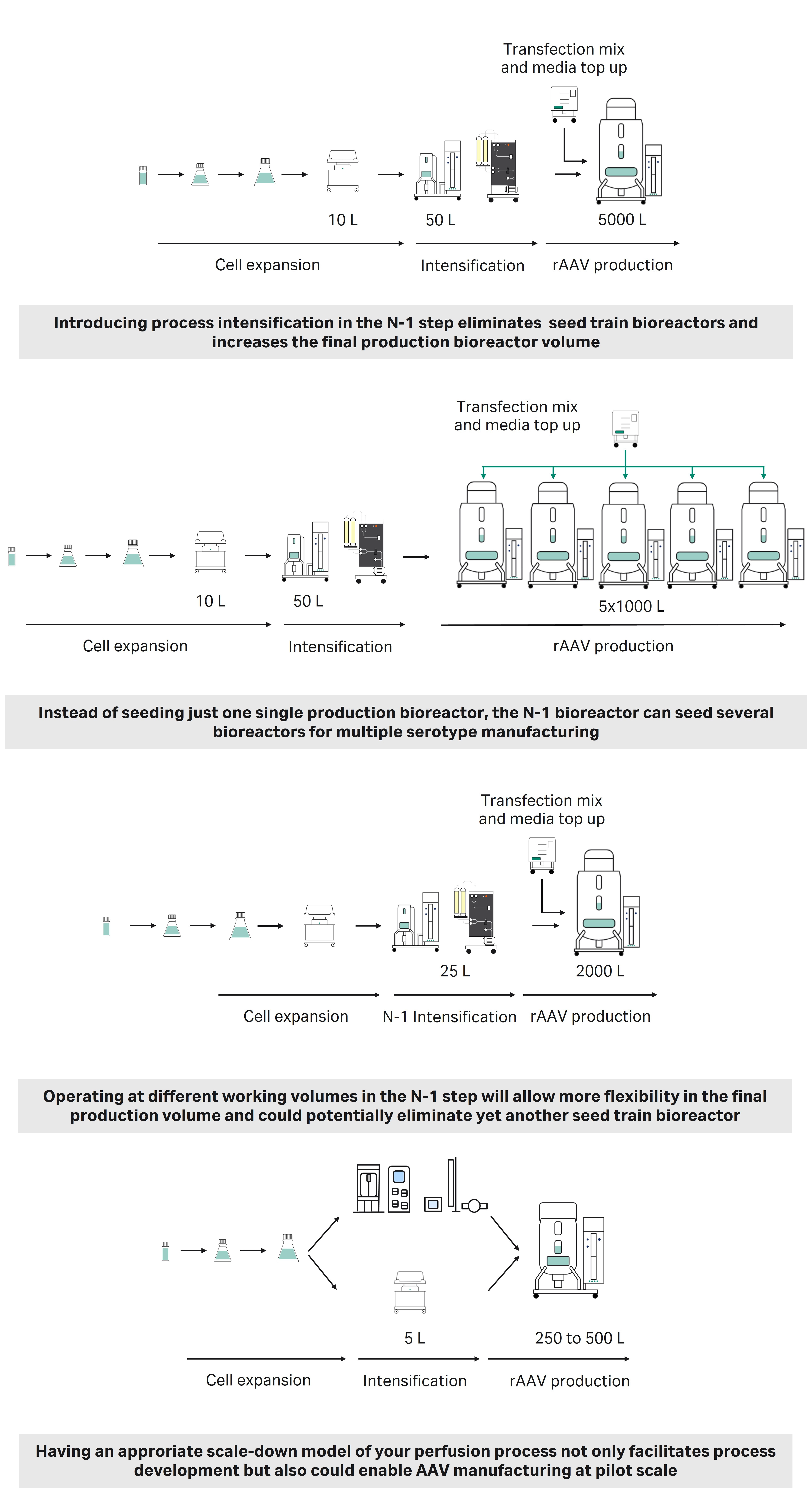 Different process options for N-1 perfusion in AAV manufacturing