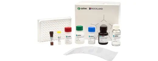 ELISA kit specifically designed for use with MabSelect VH3 resins.