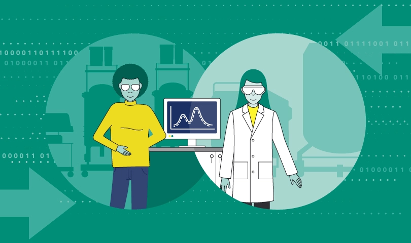 In silico process development