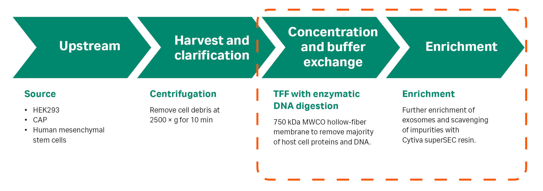 Exosome isolation by tangential flow filtration and size exclusion chromatography
