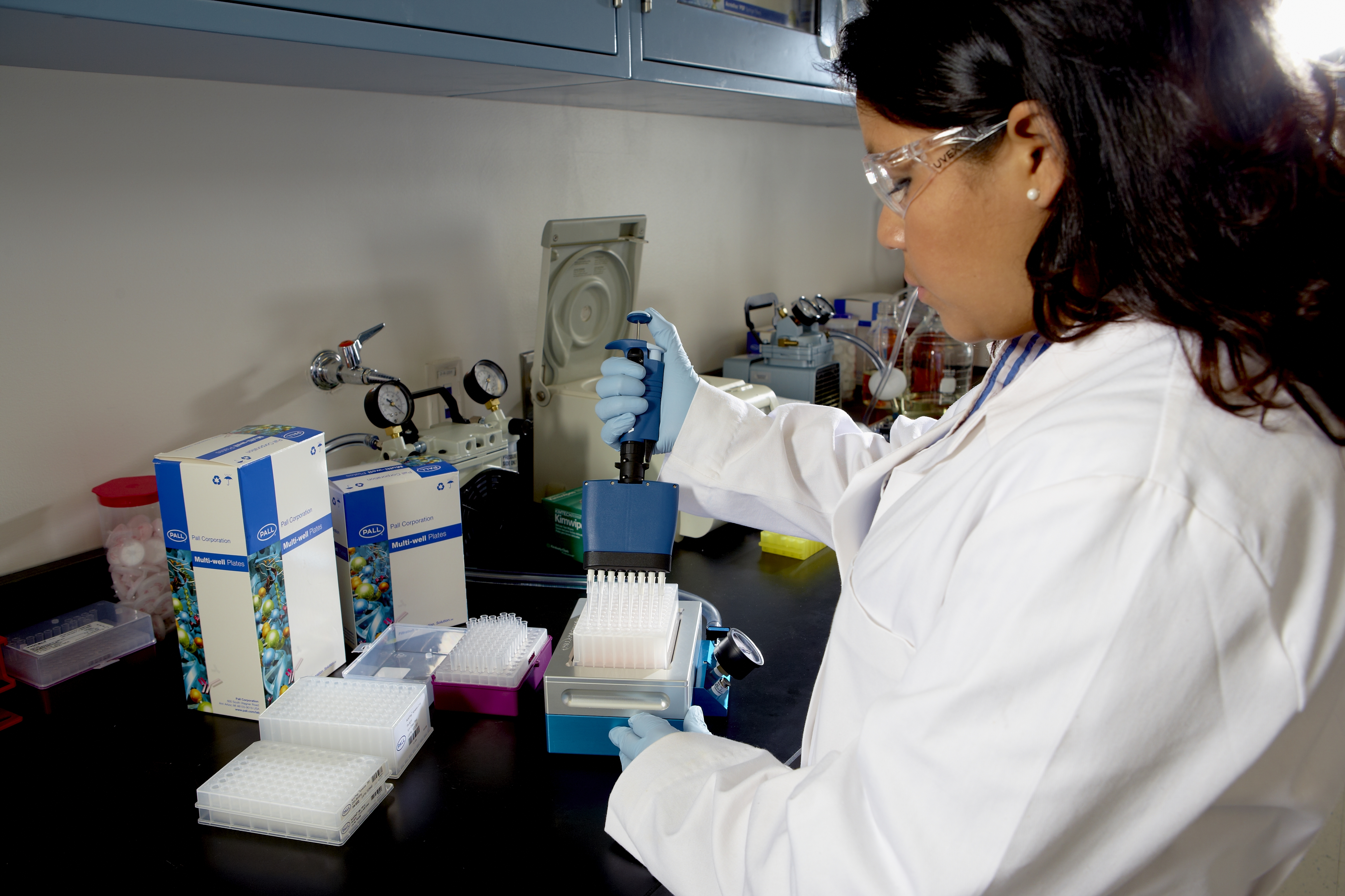 Scientist working with plates