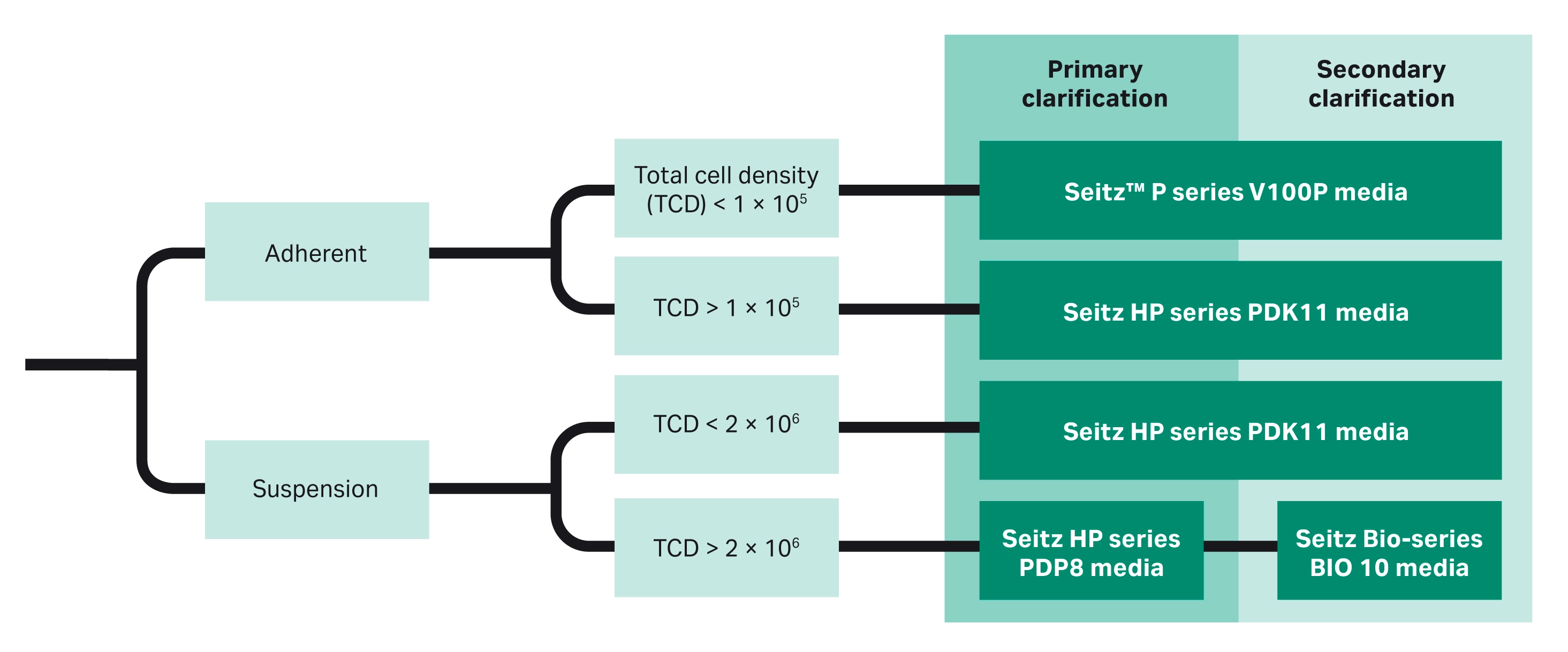Guide to the Seitz™ depth filter range.