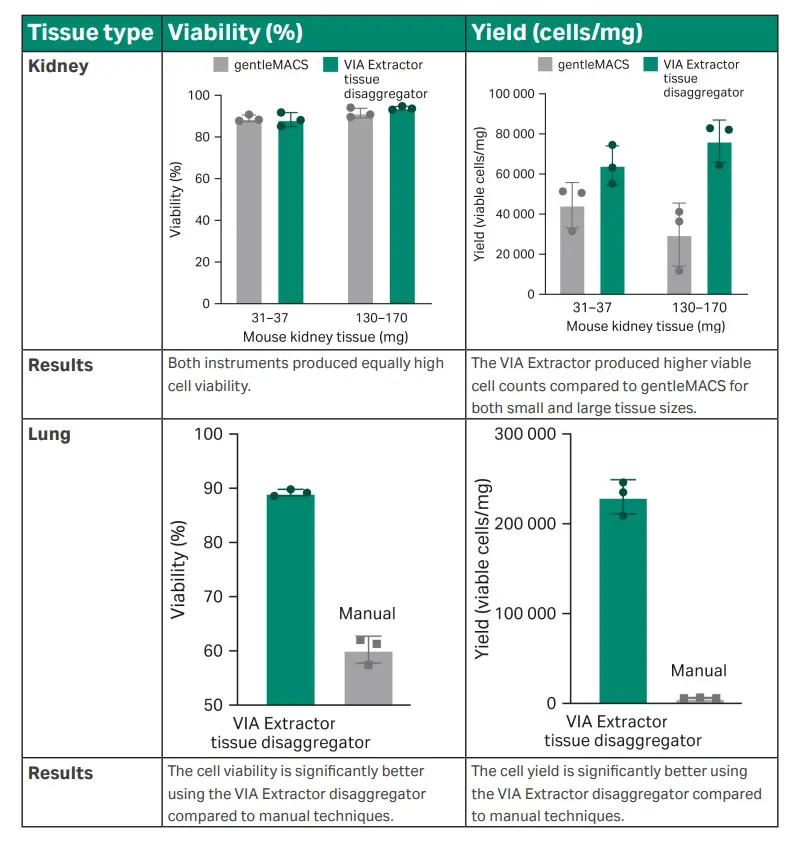 Comparative performance of tissue dissociation methods Kidney