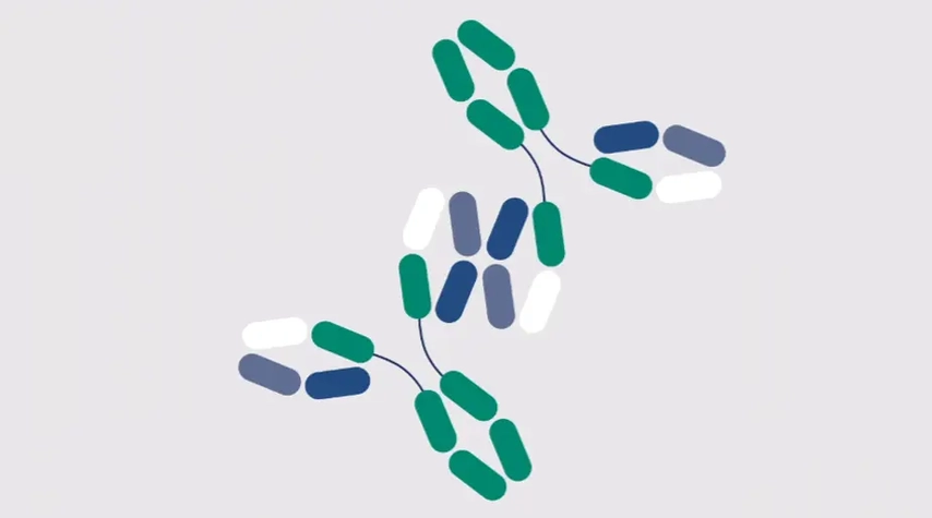 Controlling mAb aggregates in chromatography process development
