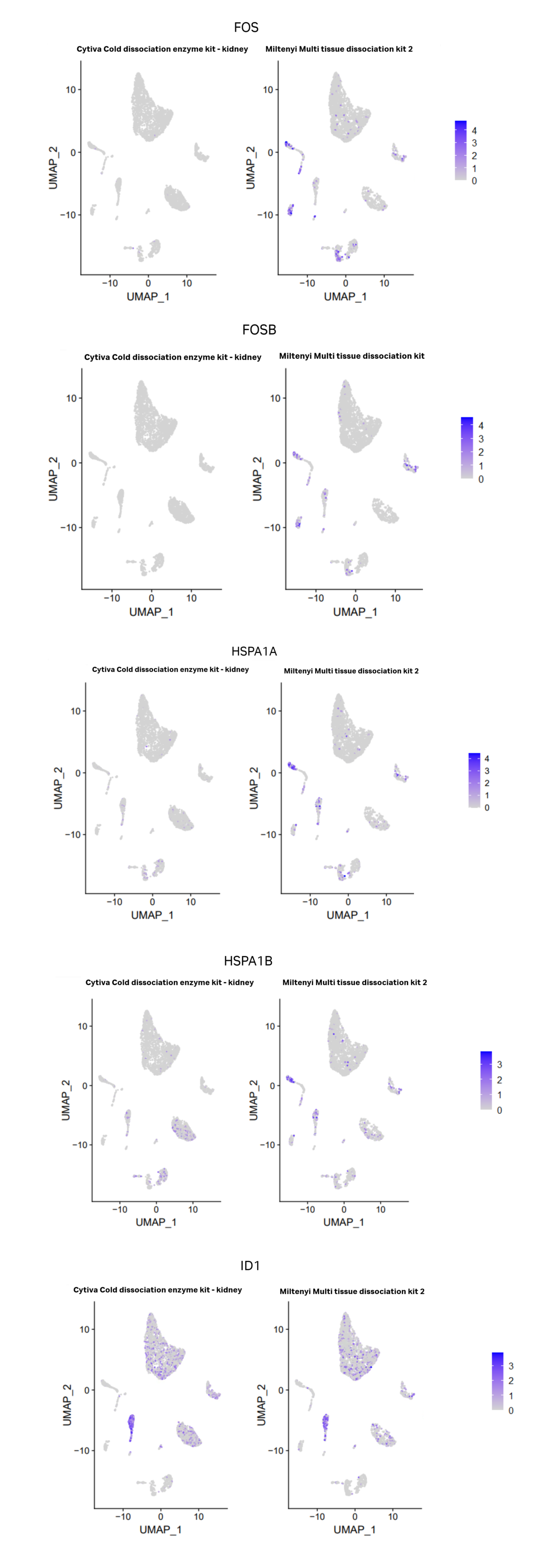 Feature plots displaying differences in expression of 4 key stress response genes FOS, FOSB, HSPA1A, HSPA1B between Miltenyi’s multi tissue dissociation kit 2 and Cytiva’s Cold dissociation enzyme mix - kidney