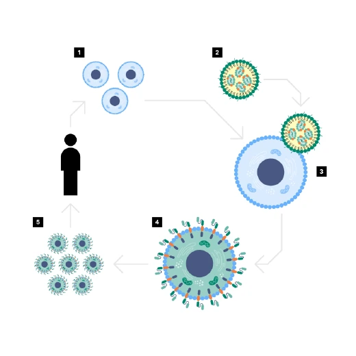Autologous CAR T cells engineering with lipid nanoparticles