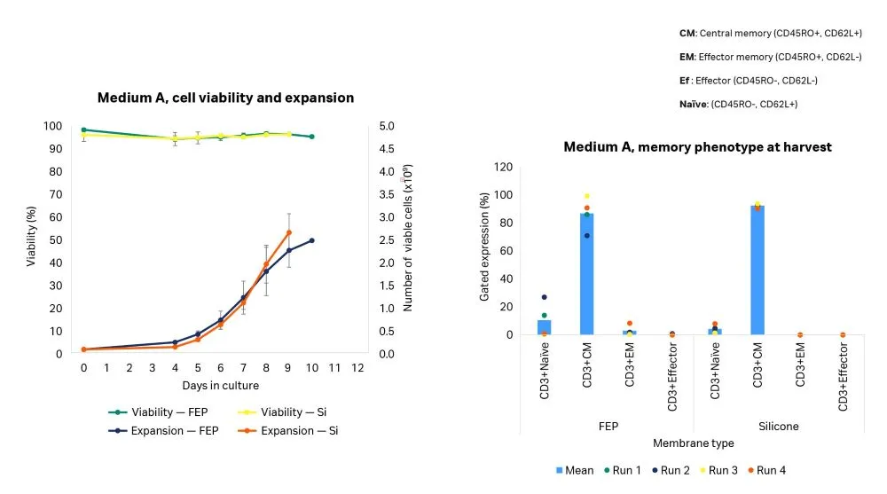 T cell viability, expansion, and memory phenotype at harvest on Sefia™ expansion system, cell culture medium A.