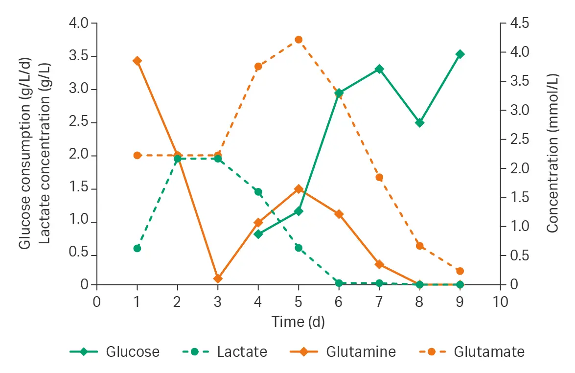 Metabolite concentrations for the 50 L bioreactor culture
