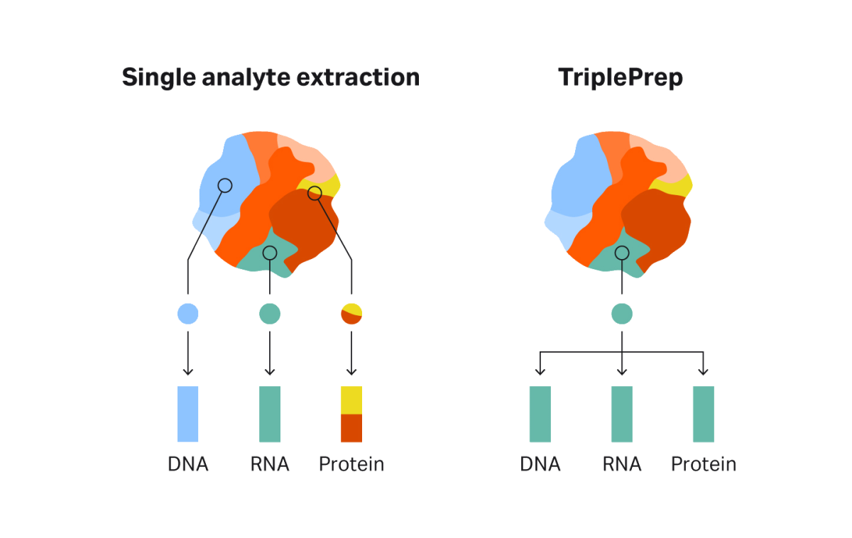 Extract DNA RNA and protein from one sample for multiomics Cytiva