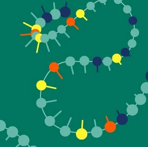 Graphic of single stranded oligo