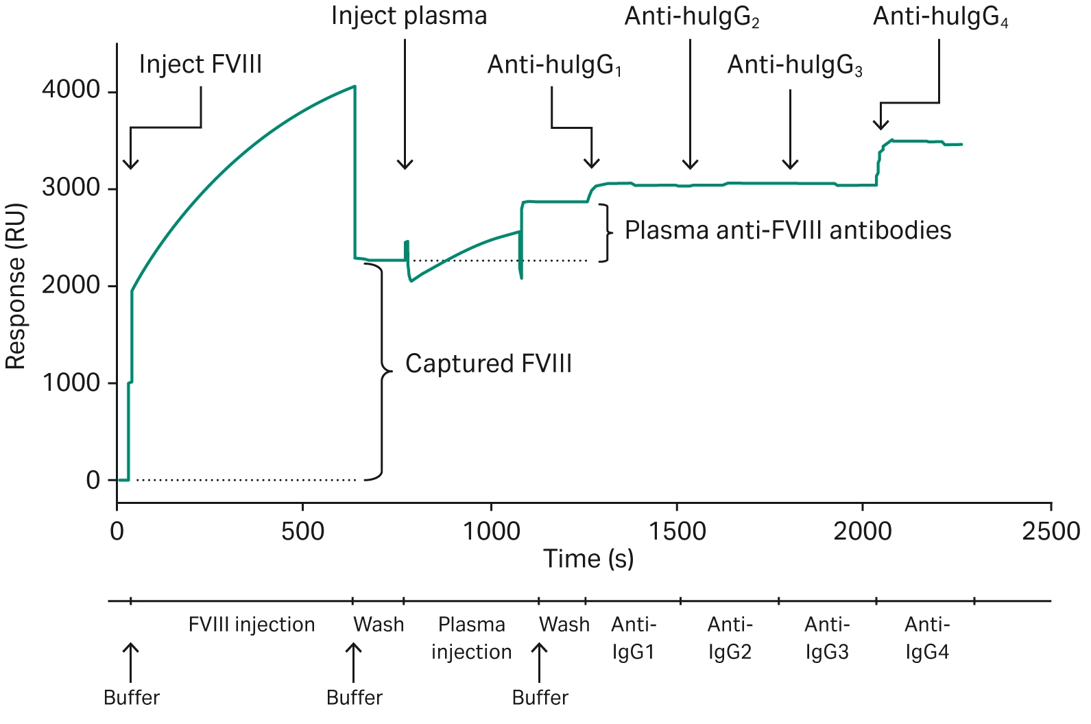 SPR sensorgram showing fviii binding, plasma injection for anti‑drug antibody capture, and sequential injections of anti‑IgG1, anti‑IgG2, anti‑IgG3, and anti‑IgG4 antibodies, illustrating subclass‑specific detection.