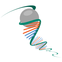 Primer Support™ 5G illustration