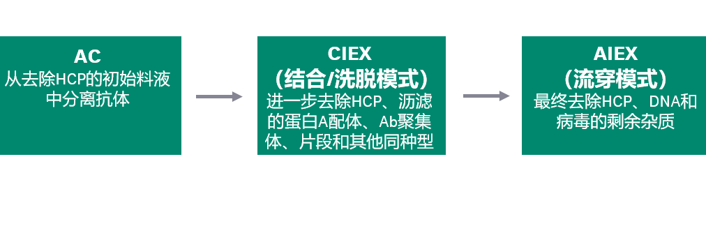单克隆抗体层析填料平台示例
