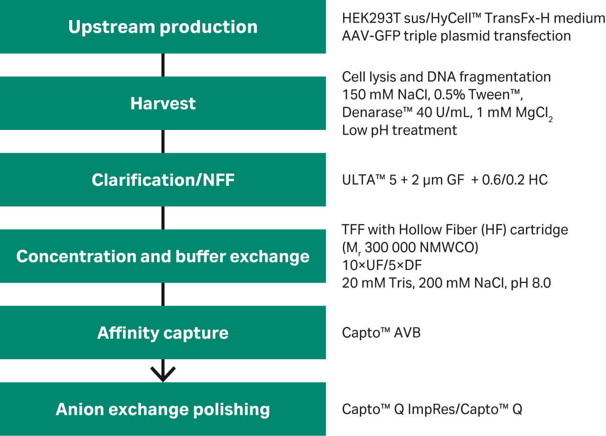 Enhanced AAV downstream processing Cytiva