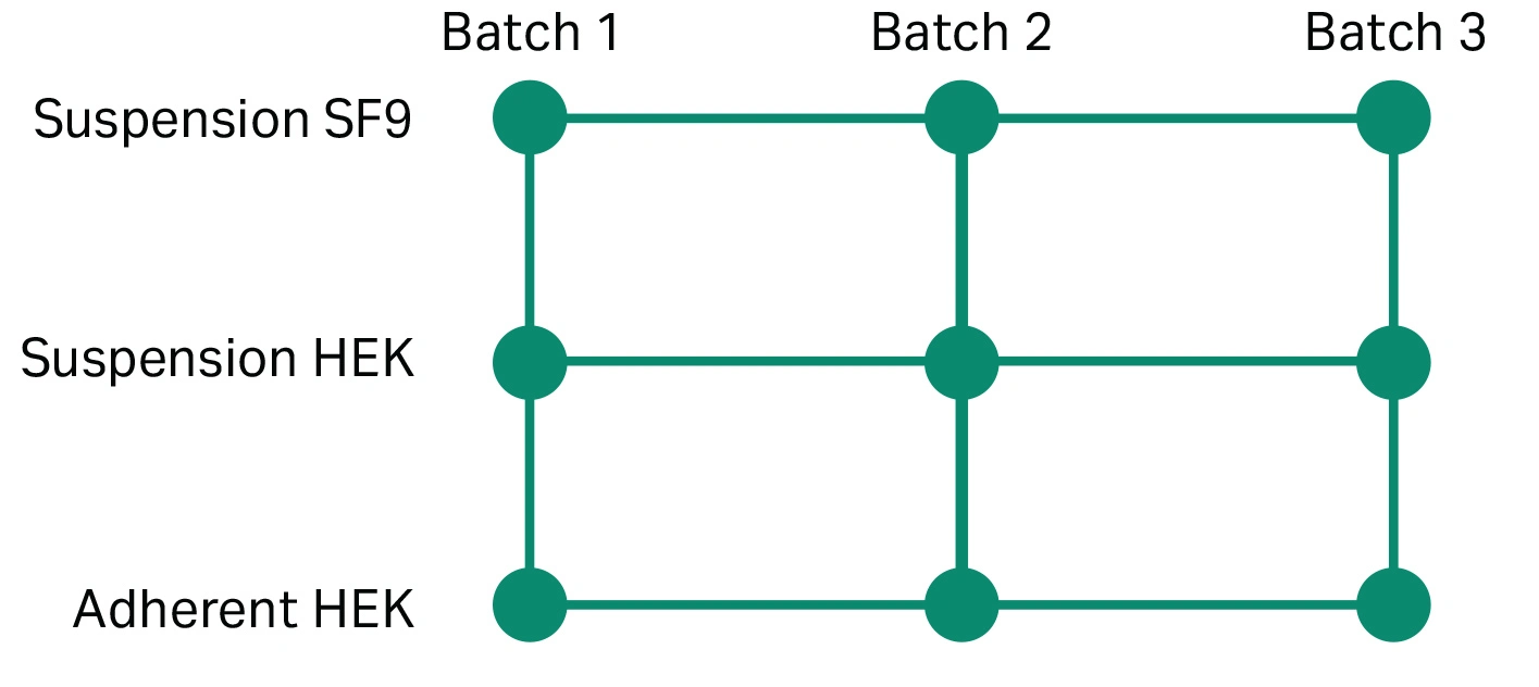 Experimental design