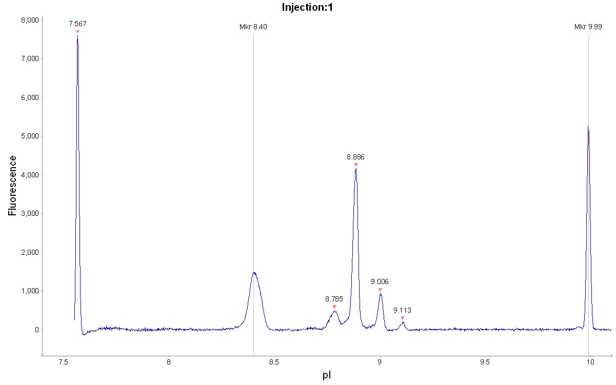 cIEF electropherogram for Adalimumab using Pharmalyte™ 8-10.5