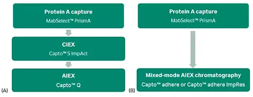 Three step mAb chromatography workflow with one capture step and two polishing steps.