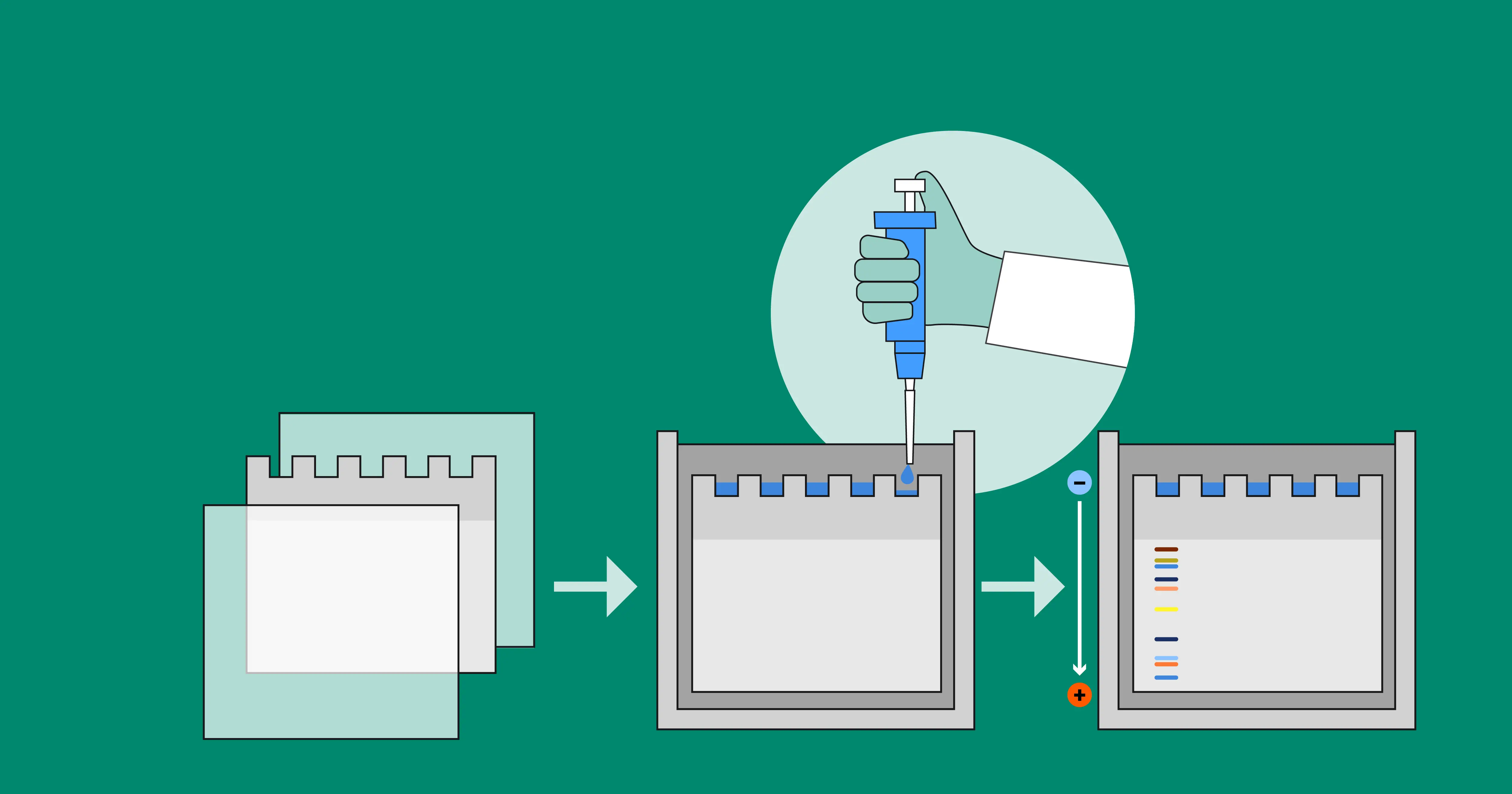 vertical_electrophoresis_apparatus_Fig1