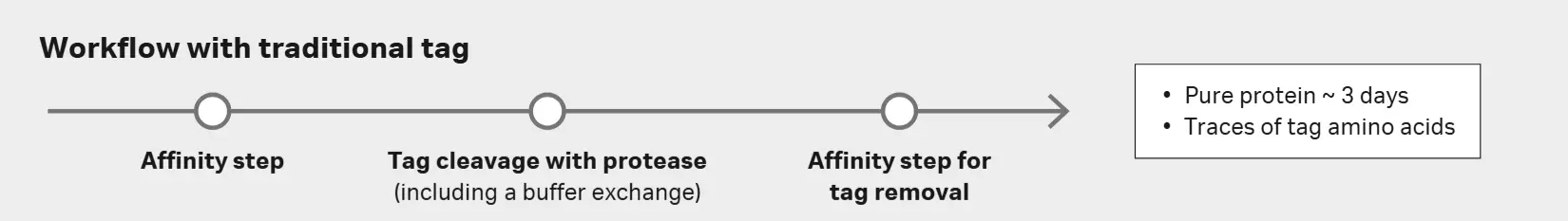 Tagged protein purification workflow