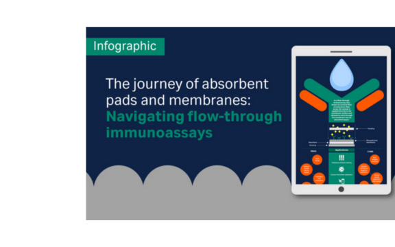 Navigating the journey for flow-through immunoassays