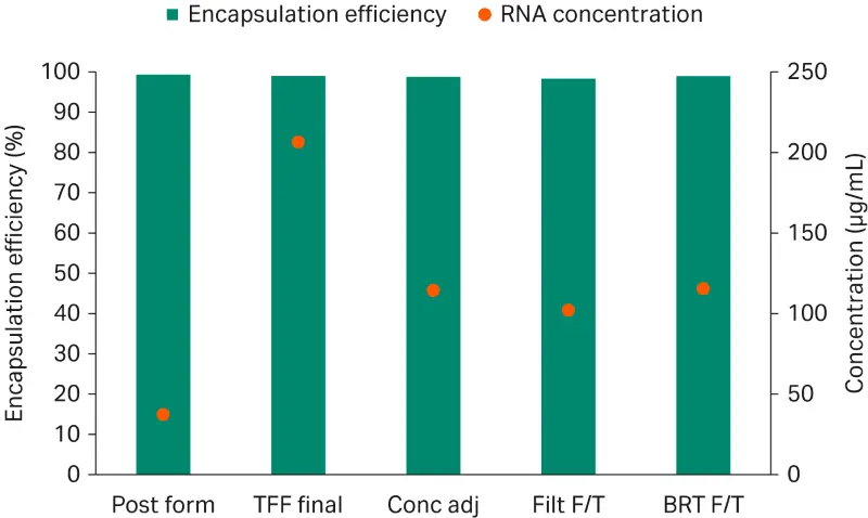 Graph showing concentration and encapsulation efficiency results for mRNA LNPs samples