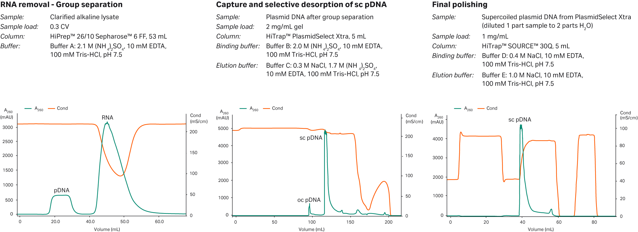 Purification of supercoiled plasmid DNA using the PlasmidSelect Xtra Starter Kit