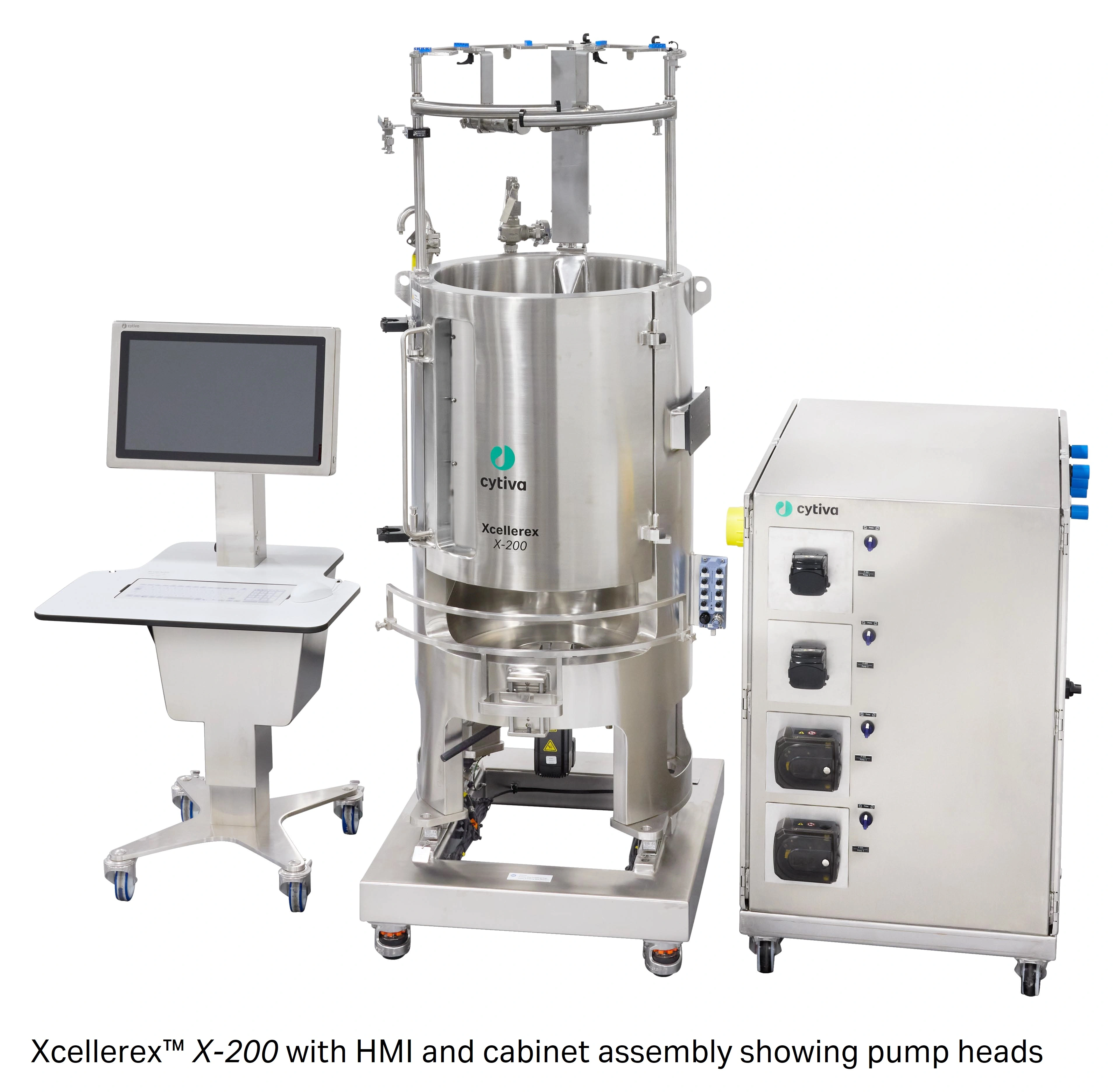 BIO CELL VITALIZER α 38ml wamiles BIO CELL VITALIZER α 38ml wamiles Amazon.co.jp: wamiles Biocell