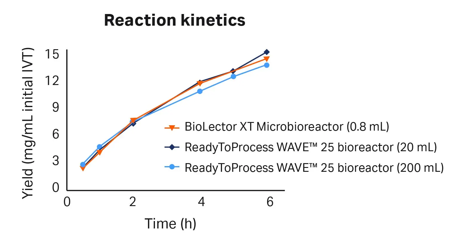 mRNA yield of different fed-batch IVT reactions