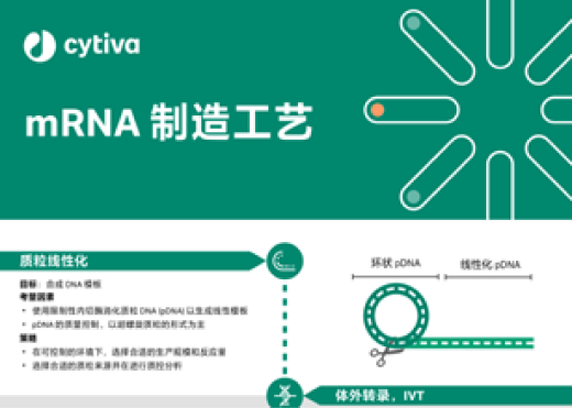 mRNA-DNA-03-11Nov23.png