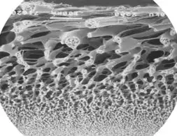 Different applications require different levels of protein binding. 