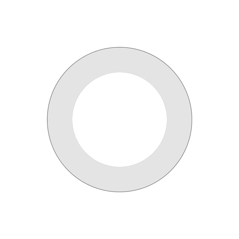 Sealing Ring | Cytiva