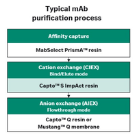 Typical mAb purification process with a protein A affinity capture step, followed by two polishing steps