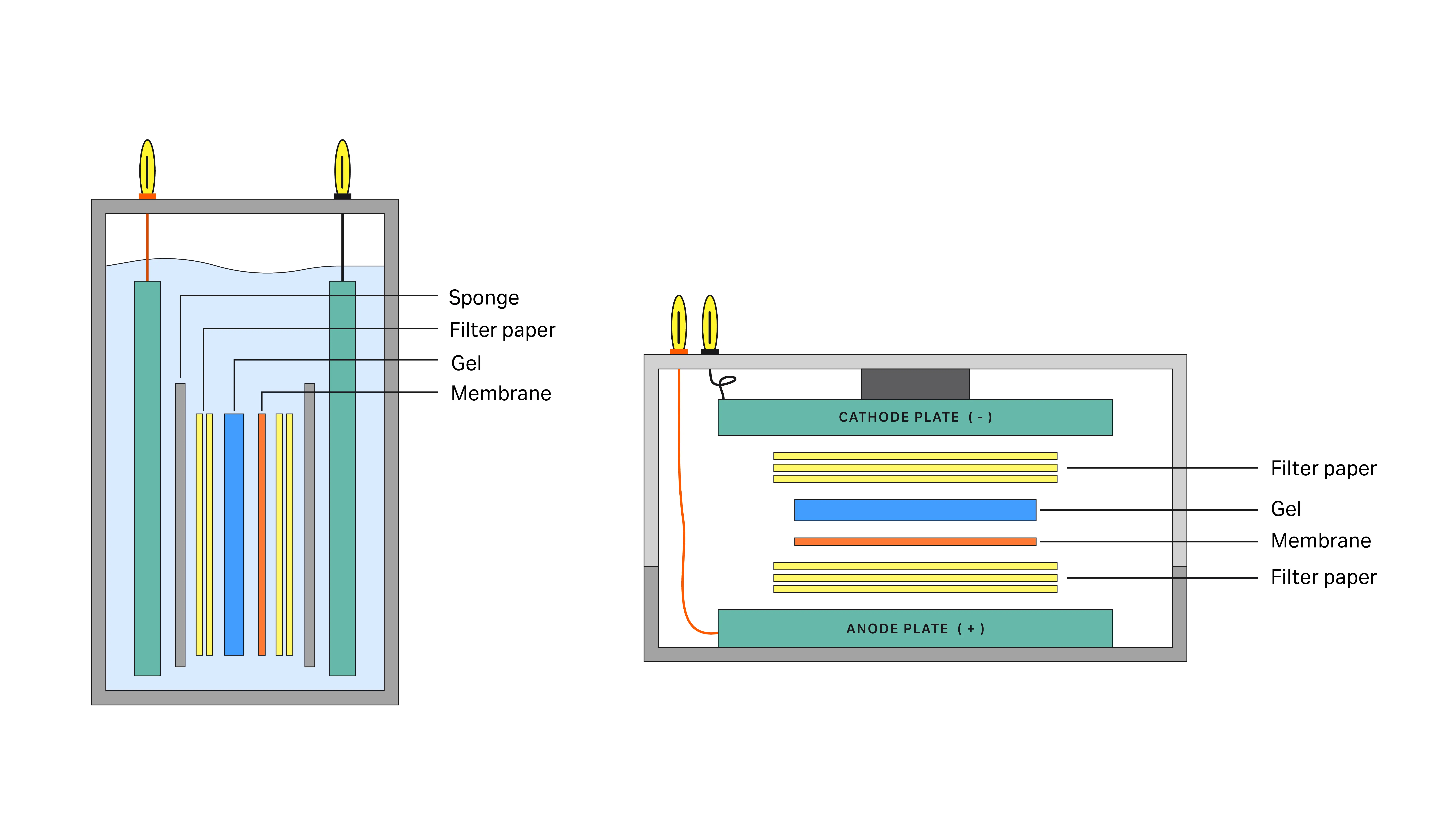 Semidry transfer system