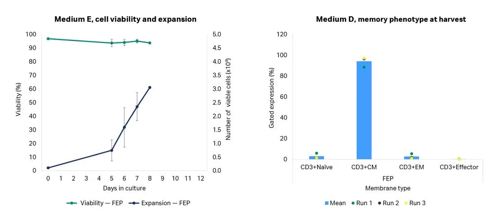 T cell viability, expansion, and memory phenotype at harvest on Sefia™ expansion system, cell culture medium E.