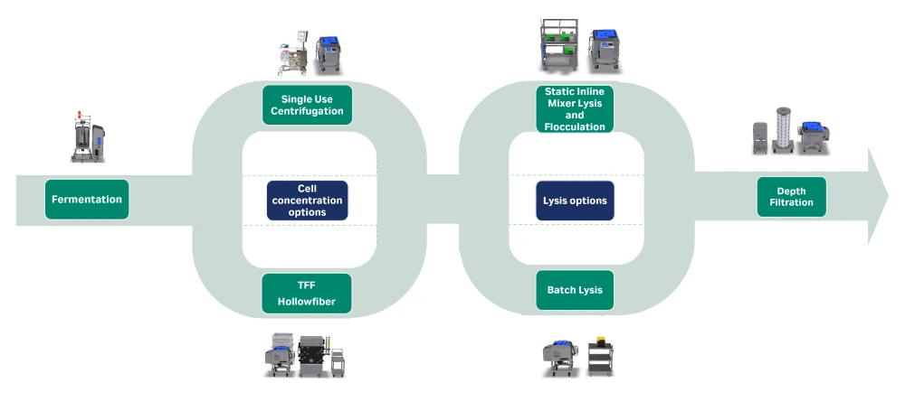 Steps in developed process