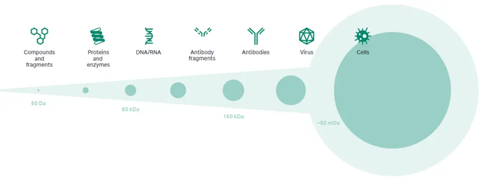 Molecules range that can be measured using SPR