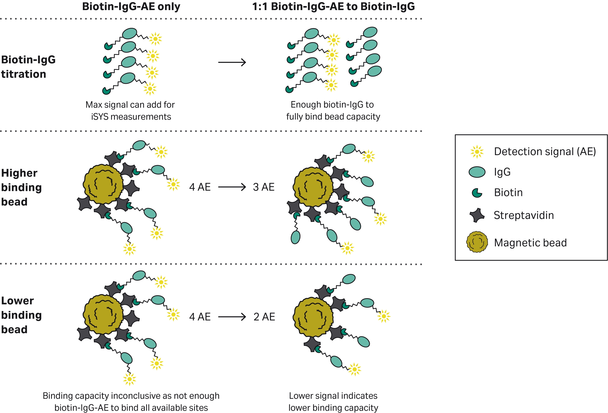 Schematic of the signal output of the competitive biotin-IgG binding capacity assay.
