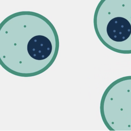 Abstract graphic of cells