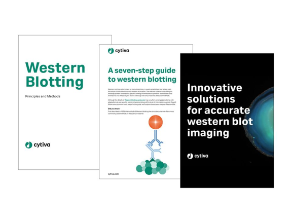 Western blotting handbook