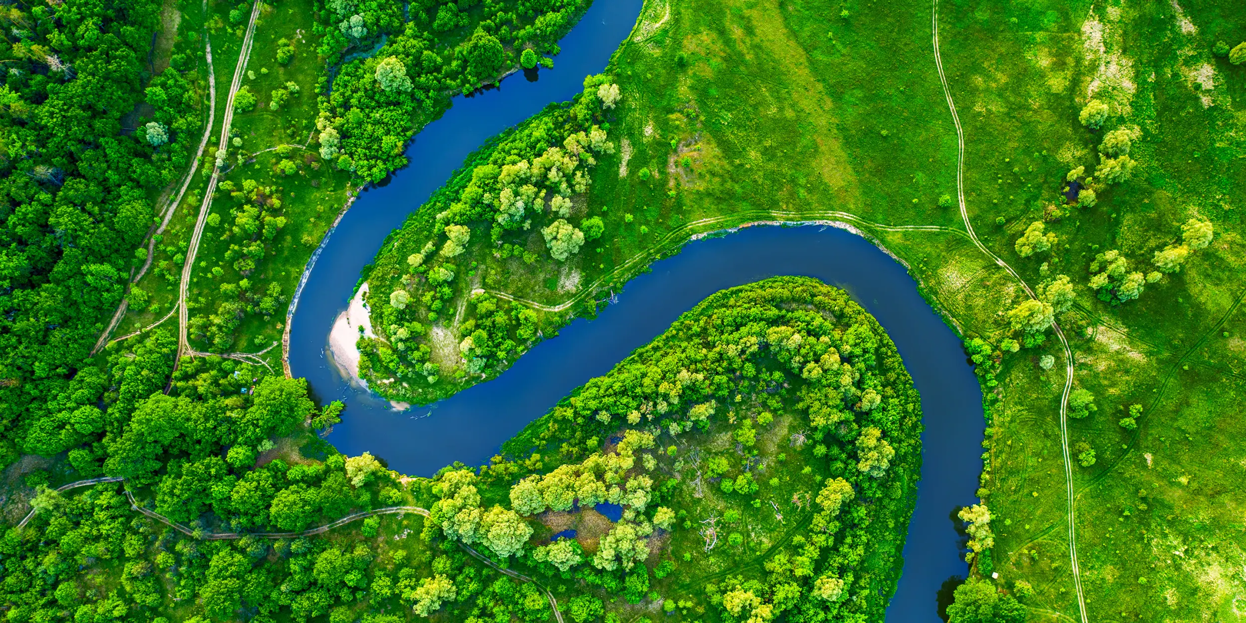 Pictogram showing a windmill and trees