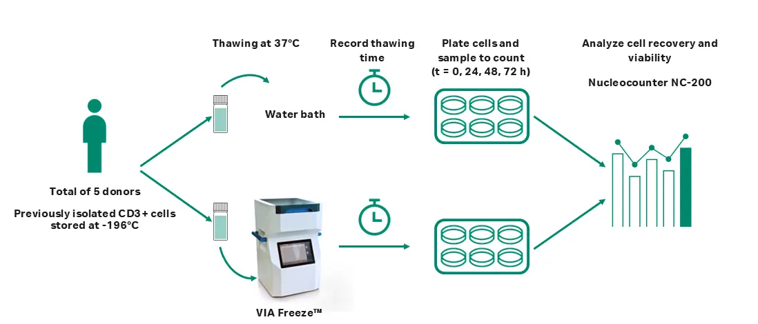 Scheme showing vial thawing procedure with a VIA Freeze™ or a water bath