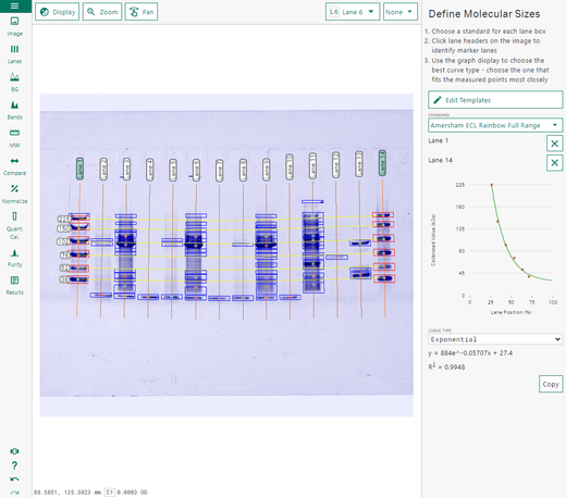 ImageQuant TL 11 software screen shoot from molecular weight tool 