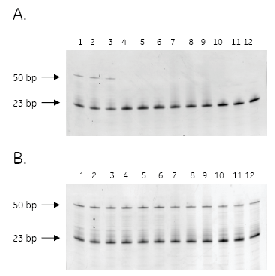 illustra Hot Start Master Mix gel