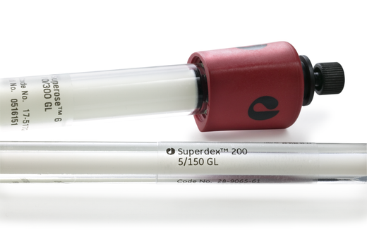 Superdex 200 5/150 GL and Superose 6 10/300 GL