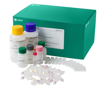 illustra triplePrep Kit