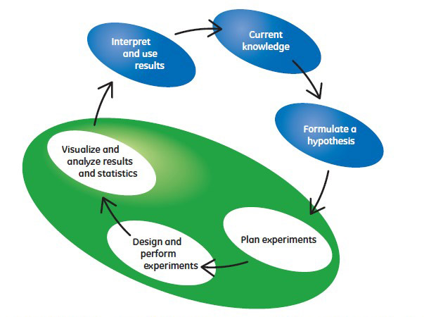 Schematic overview