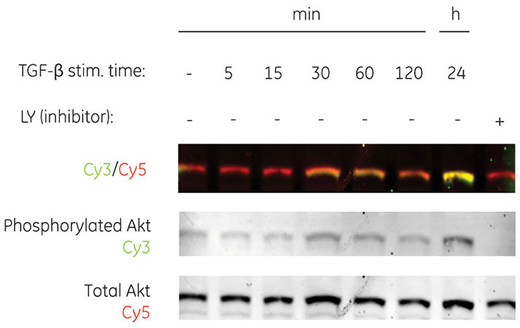 Signal_stability_Fig2B