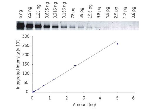 Fluorescence_detection_Fig2A