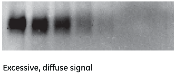 Excessive, diffuse signal in ECL detection.