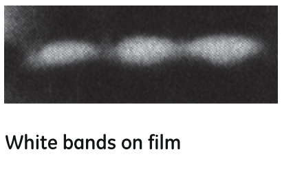 White bands on film.